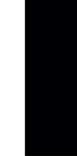 Black rectangle